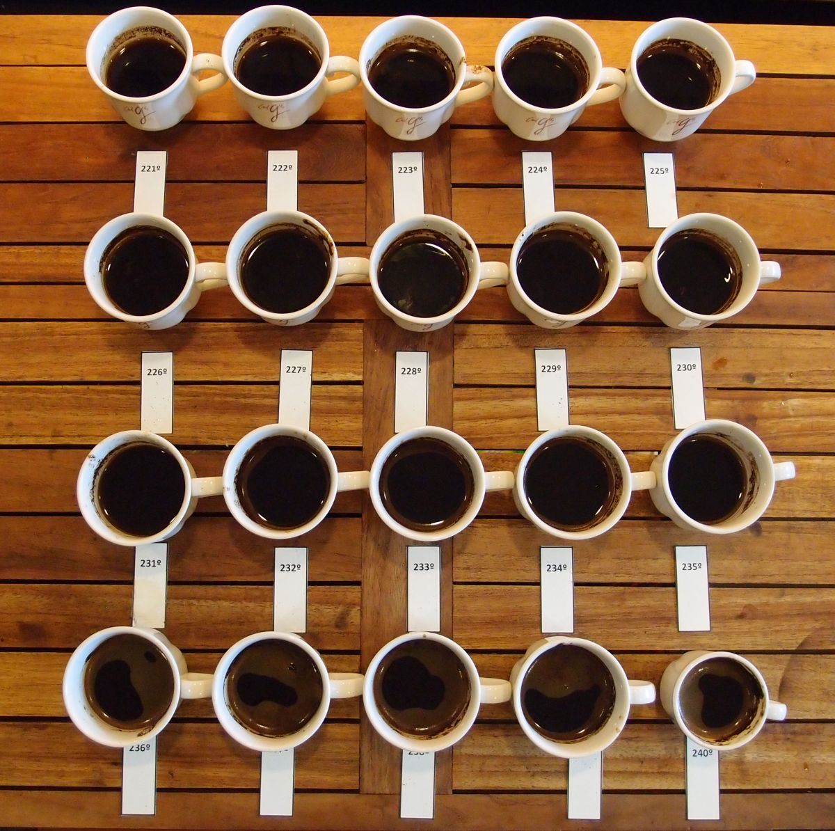 Cupping table for comparing roast profiles