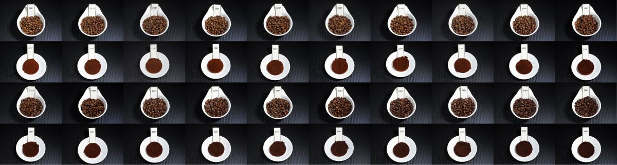 Roast and ground samples in one-degree increments