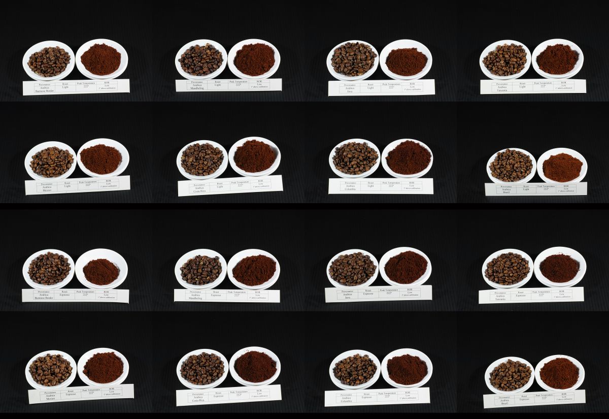 Twenty roast samples cupped side by side