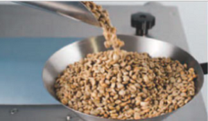 Green coffee beans loaded into the RoastMaxTor roasting chamber