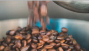Freshly roasted coffee beans discharging from the roaster