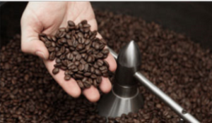 A handful of freshly roasted specialty coffee beans